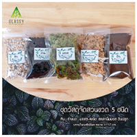 ราคา ชุดจัดสวนขวด วัสดุอุปกรณ์จัดสวนขวด ครบเซ็ตพร้อมส่ง Terrarium Set ชุดจัดสวนขวดแก้ว (12837992036)