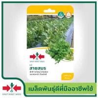 ราคา East West Seed เมล็ดพันธุ์ผักชี coriander seeds สายสมร เมล็ดพันธุ์ผัก เมล็ดพันธุ์ ผักสวนครัว ตราศรแดง (1898258427)