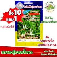 ราคา 10แถม1 3A เมล็ดพันธุ์ กวางตุ้งเบบี้ขาว 1 700 เมล็ด บล็อกฉ่อยหวาน หวาน กรอบ เมล็ดพันธุ์สามเอ White Pak Choy เมล็ดผักสวนครัว เมล็ดพืช (2329962717)