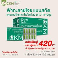 ราคา กล่องใหญ่คุ้มกว่า ฟ้าทะลายโจรสกัด 1 กล่อง 12 แผง 120 แคปซูล บรรเทาอาการเจ็บคอ ฟ้าทะลายโจรสกัด ฟ้าทะลายโจร (14018960727)