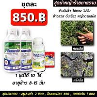 ราคา ชุดฆ่าหญ้า โคลมาโซน โพรพานิล 2ขวด โกลอะนิล 1 เอสซอร์บ 1ซอง คุมฆ่า ในนาข้าว ยาเก็บหญ้า ยากำจัดหญ้า หญ้าลิเก หญ้าดื้อยา ยาคุมฆ่า (14349078224)
