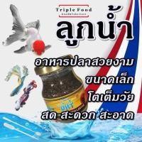 ราคา อาหารปลา ลูกน้ำ Fish Food UHT อาหารปลากัด อาหารปลาสวยงาม อาหารปลาหางนกยูง ปลาม้าลาย ปลานีออน ปลาทอง ลูกน้ำอัดเม็ด ลูกน้ำอบแห้ง ไรแดง (458587870)