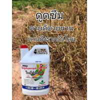 ราคา ไกลโฟเซต48 สารกำจัดวัชพืชแบบดูดซึม ฆ่าหญ้าตายดีตายนานขวดบรรจุ4ลิตรแกลลอนสีขาวฉลากขาว (13625305657)