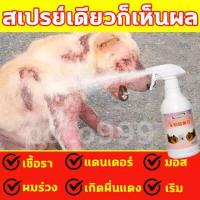 ราคา Kaililai สเปรย์รักษาขี้เรื้อน 500ml ยาขี้เรื้อนหมา ยาแก้เรื้อนหมา ยารักษาขี้เรื้อนหมา ผื่นแดง อาการคัน ผิวหนังอักเสบ ตุ่มคัน ขี้เรื้อนเรื้อรัง เชื้อราแมว ยาทาขี้เรื้อน ยาแก้เรื้อน (12638480431)