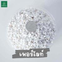 ราคา New เพอร์ไลท์ Perlite ขนาด BIG PACK 5 10 ลิตร ขนาด 3 6 มม คุณภาพสินค้านำเข้า (9882336126)