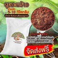 ราคา ส่งฟรี ขุยมะพร้าวละเอียด ขุยมะพร้าว 1 กระสอบ 10 12kg เกาะต่างๆสั่งซื้อขั้นต่ำ 5 รายการ (4207698947)