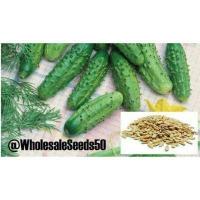 ราคา สั่งซื้ออย่างน้อย 2 ชิ้น ราคา 1 รายการ แตงกวาปาริเซียน Parisian Gherkin Cucumber F1 คู่มือปลูก (14751437449)