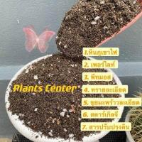 ราคา Plants Center พร้อมส่ง 1 กิโลกรัม ดินปลูก แคคตัส กระบองเพชร ผสมสำเร็จ ผสมครบทุกอย่าง ไม่ต้องซื้อแยก ขนาด 1 กิโลกรัม (4525084150)