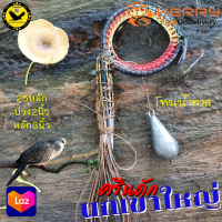 ราคา ครืนดักนกเขา บ่วงดักนกเขา 25หลัก ครืนนกเขาใหญ่ ครืนนก ครุนนกเขาใหญ่ บ่วง2นิ้ว หลักยาว3นิ้ว มีรังเก็บ แถมตะกั่วถ่วงครืน พร้อมส่ง (1342294873)
