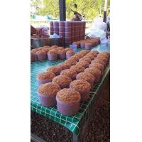 ราคา กะปิกุ้งหวาน จากสตูล กุ้งเคยแท้จากทะเลสตูล ช่วยอุดหนุนของกลุ่มประมงพื้นบ้านด้วยครับ (13776731913)