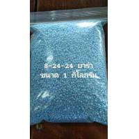 ราคา ปุ๋ย 8 24 24 ยาร่า 1 KG เร่งดอก เร่งผลใหญ่ ช่วยเพิ่มช่อดอก ให้ออกดอกได้มากขึ้น ติดผลผลิตมาก มีน้ำหนัก เพิ่มรสชาด เหมาะ พืชไร่ ไม้ผล (9374874637)
