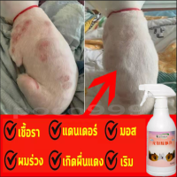 ราคา Kaililai สเปรย์รักษาขี้เรื้อน 500ml ยาขี้เรื้อนหมา ยาแก้เรื้อนหมา ยารักษาขี้เรื้อนหมา ผื่นแดง อาการคัน ผิวหนังอักเสบ ตุ่มคัน ขี้เรื้อนเรื้อรัง เชื้อราแมว ยาทาขี้เรื้อน ยาแก้เรื้อน (12638296073)