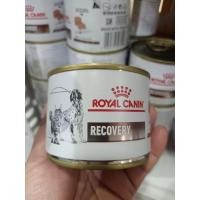 ราคา แพ็ค12กป Recovery อาหารเพื่อการพักฟื้นสำหรับสัตว์ป่วยสุนัขและแมว195กรัม 9 23 (12335744867)