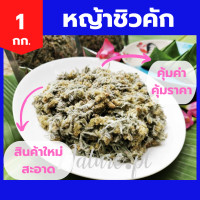 ราคา หญ้าชิวคัก ทำขนมเทียน 1 กิโลกรัม ชิวคัก 1 กก หญ้านางนวล หญ้าฉื่อคัก ดอกชิวคัก ดอกฉื่อคัก ต้นชิวคัก หญ้าขนมเทียน 1 KG (15282184972)