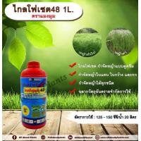 ราคา ไกลโฟเซต48 ตราแมงมุม 1L ไกลโฟเซต สารกำจัดวัชพืช แบบดูดซึม กำจัดหญ้าทั่วไป หญ้าคา วัชพืชข้ามปี และกก ดูดซึมไม่เลือกทำลาย Glyphosate allabountplants (3441492939)