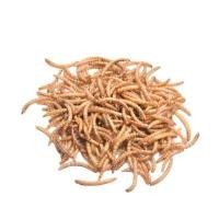 ราคา อุดมด้วยสารอาหาร XIAOCHONGπ 1200ml อาหารหนูแฮมสเตอร์ อาหารสัตว์ฟันแทะ อาหารหนู แฮมเตอร์ ไจแอนท์ โรโบ หนูแคระ สัตว์ฟันแทะ สูตรผสมอาหารอื่นได้ แฮมสเตอร์ หนูแฮมเตอร์ หนูตัวเล็ก หนอน (16317955310)