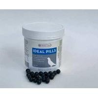 ราคา ไอเดล idealpills สูตรนกพิราบแข่ง นำเข้าจากประเทศเบลเยี่ยม 500 เม็ด ของแท้100 สำหรับไก่ชน ยาไก่ ไก่ชน ยาไก่ชน (7547517248)