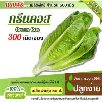 ราคา เมล็ดพันธุ์ผักสลัด ผักคอส 300เมล็ด อัตราการงอก95 เมล็ดพันธุ์ ผักสลัด เมล็ดผัก เมล็ดผักสลัด แถมฟรี เมล็ดดอกทานตะวัน (1717668452)