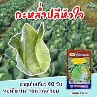 ราคา เมล็ดกะหล่ำปลีหัวใจ Pointed Cabbage เมล็ดพันธุ์กะหล่ำปลีหัวใจ เมล็ดกะหล่ำปลี เมล็ดผักสวนครัว เมล็ดพันธุ์ผัก ตราภูเขาทอง (16411386771)
