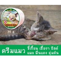 ราคา พร้อมส่งทันที ครีมแก้ขี้เรื้อน สูตรแมว 30 กรัม ทาเฉพาะจุด หายไว เชื้อราแมว ยีสต์ ขี้เรื้อน แผล ผื่นแดง ตุ่มคัน ปลอดภัยต่อสัตว์เลี้ยง (8708680827)