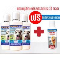 ราคา แชมพูสูตรรักษาโรคผิวหนังสุนัข 3 ขวด ฟรี ยาหยดทำความสะอาดหู ป้องกันเชื้อรา 1 ขวด (9459840579)