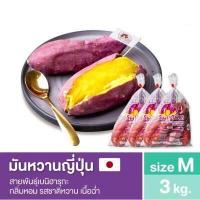 ราคา มันหวานญี่ปุ่นเบนิฮารุกะ ชิโทริ Size M นำเข้าจาก จ อิบารากิ ประเทศญี่ปุ่น 100 (15699094180)