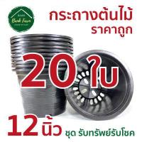 ราคา กระถาง12นิ้ว สีดำ คุณภาพดี ราคาถูกมาก แพ็ค 5 25 ใบ กระถางราคาถูก กระถางพลาสติก กระถางต้นไม้ กระถางกลม (6628884761)