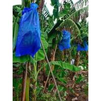 ราคา ถุงห่อกล้วย 20 ใบ ไม่ซีลก้น กล้วยหอม กล้วยไข่ กล้วยน้ำว้า 4 5THB ชิ้น บรรจุ 20 ชิ้น ห่อ ไม่ซีลก้น (4886866205)