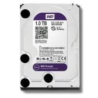 ราคา 100 ORIGINAL ท้องถิ่น WD สีม่วง1TB ฮาร์ดดิสก์ไดรฟ์ภายในแคช3 5นิ้ว64M Cache SATA III 6กิกะไบต์ วินาที HDD Harddisk สำหรับกล้องวงจรปิด DVR NVR (15952797437)