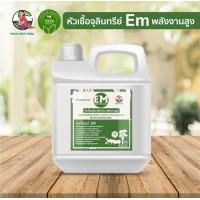 ราคา น้ำหมัก Em หัวเชื้อจุลินทรีย์ พลังงานสูง พืช สัตว์ และสิ่งแวดล้อม (11253405929)