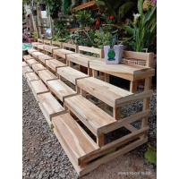 ราคา ชั้นวางแคคตัสไซส์มินิ 4 ชั้นขั้นบันไดสูง 50 ซมลึก 40 ซมกว้าง 35ซม (7405994215)