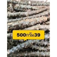 ราคา บอระเพ็ดสด500กรัม39บาทตัดสดตามออเดอร์จ้าไร้สารเคมีTinospora crispa จุ่งจิง เจตมูลหนามตัวเจตมูลยาน เถาหัวด้วนหางหนูจุ้งจาลิงตัวแม่ เจตมูลย่าน (7741373450)