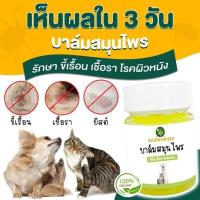 ราคา เห็นผลเร็วมาก บาร์มรักษาขี้เรื้อน ครีมทาขี้เรื้อน สุนัข แมว รักษาเชื้อรา ไร ยีสต์ ผิวหนังอักเสบ ขนร่วง รอยแดง ตุ่มคัน 20 กรัม (13148004268)