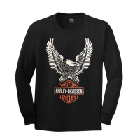 ราคา เสื้อยืดแขนยาวฮาเลย์ Harley Davidson Reproduction ML ป้าย USA ผ้าCotton100 ใสสบาย (895670200)