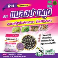 ราคา อิมิดาโกลด์ จี 1 กิโลกรัม สตาเกิลจี สตาร์เกิลจี รองก้นหลุม โรยรอบโคนต้น กำจัด เพลี้ย มด ปลวก ด้วงหมัดผัก หนอน ปลอดภัย ไม่มีสารตกค้าง (8951644832)