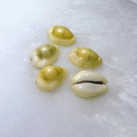 ราคา เปลือกหอยเบี้ยแท้ เบี้ยแก้ เบี้ยจั่น สีธรรมชาติ ราคาต่อแพ๊ค (4378784699)