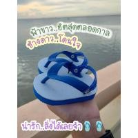 ราคา รองเท้าช้างดาวเด็กรัดส้นสีฟ้าขาว (9445450653)