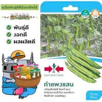 ราคา SORNDAENG ผักซอง ศรแดง S069 ถั่วพู กำแพงแสน F1 เมล็ดพันธุ์ ถั่ว เมล็ดพันธุ์ลูกผสม เมล็ดพันธุ์ผัก ผักสวนครัว เมล็ดพันธุ์ ผักศรแดง (4473736693)