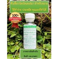 ราคา หัวเชื้อราไตรโคเดอร์ม่า Trichoderma ม เกษตร แท้ หัวเชื้อสดใหม่ 1ขวด 20 ก ขยายเชื้อสดได้ 20 กิโล รับประกันหากสินค้าเสียหายและอัปเดตจำนวนสินค้ (9901231374)