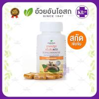 ราคา ขมิ้นชัน ผสมพริกไทยดำ อ้วยอันโอสถ 60 แคปซูล (15958973885)