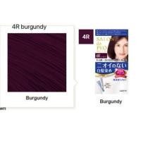 ราคา Dariya Hair SALON de Pro Hair Color 6ชนิด เบอร์ 1 2 3 4 4A 4R 4GR 5 5A 6 สูตรย้อมผมขาว ไม่มีน้ำหอม ไม่มีแอมโมเนีย (12955909624)