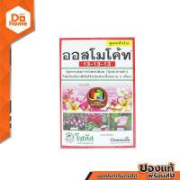 ราคา ปุ๋ยออสโมโค้ท สูตร 13 13 13 ขนาด 1 กิโลกรัม B (10384154397)