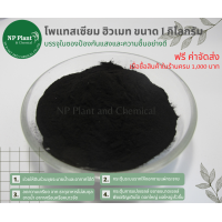 ราคา โพแทสเซียม ฮิวเมท แบบผง ฮิวมิค Potassium Humate Power Humic ขนาด 1 ก ก (10412455100)