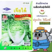 ราคา CHIATAI ผักซอง เจียไต๋ F019 ขาวปลีเบา มณีกาญจน์ F1 ประมาณ 480เมล็ด เมล็ดพันธุ์ผัก เมล็ดผัก เมล็ดพืช ผักสวนครัว (4808650870)