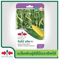 ราคา East West Seed เมล็ดพันธุ์ข้าวโพดหวาน Sweet corn seeds จัมโบ้สวีท F1 เมล็ดพันธุ์ผัก เมล็ดพันธุ์ ผักสวนครัว ข้าวโพด ตราศรแดง (1898280360)