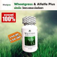 ราคา 1 กระปุก 120 เม็ด Wheatgrass Alfalfa Plus ผลิตภัณฑ์อาหารเสริมแอมสตรอง วีทกราส อัลฟัลฟ่า พลัส ผักเม็ดแท้ สูตรดั้งเดิม ผักเม็ด superfood โปรตีนสูง (2315646020)
