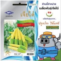 ราคา CHIATAI ผักซอง เจียไต๋ ข้าวโพดฝักอ่อน จักรพรรดิ์ O077 ประมาณ 90 เมล็ด ข้าวโพด เมล็ดพันธุ์ผัก เมล็ดผัก เมล็ดพืช ผักสวนครัว (4163870939)