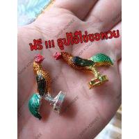 ราคา ไก่แก้บนไอ้ไข่ ไก่จิ๋ว ถวายไอ้ไข่วัดเจดีย์ ไก่แต่งสีเงิน ไก่แต่งสีทอง ไก่แก้บนไอ้ไข่ ไก่แก้ว ไก่ไอ้ไข่ ไก่แก้บน (9241226898)