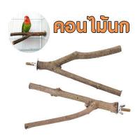 ราคา คอนไม้นก คอนไม้ คอนไม้ลับเล็บ คอนไม้เกาะยืน คอนไม้ธรรมชาติ สองแฉก สำหรับนกแก้ว นกฟอพัส นกกรงหัวจุก (16296131739)