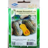 ราคา เมล็ดพันธุ์ผัก เจียไต๋ ผักซอง ฟักทอง เมล่อน ทองอำไพ ฟักทองทองอำพัน ฟักทองศรีเมือง ฟักทองบึงกาฬ หน่อไม้ฝรั่ง บัตเตอร์นัท สควอช (13885317428)
